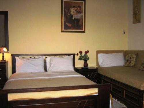 Gerakofolia Rooms To Let Konitsa Eksteriør billede